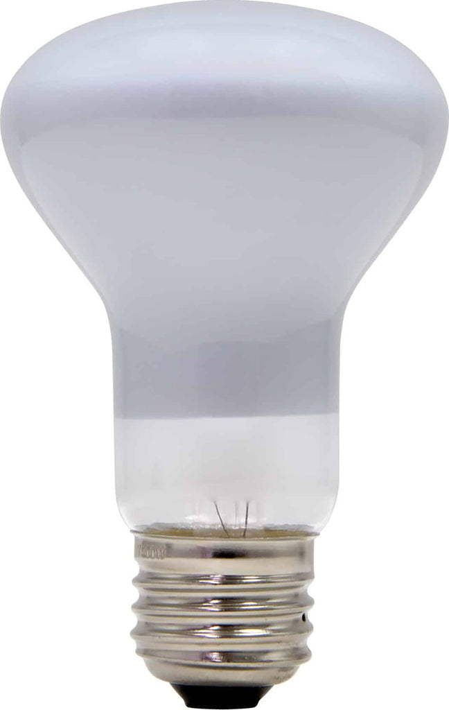 100w Light Bulb
