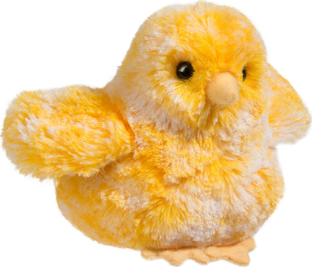 Yellow Multi Chick