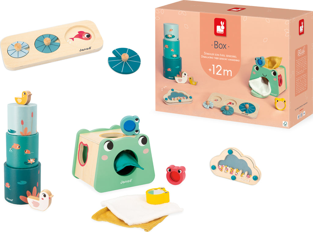 Janod Developmental Activity Box - 12 Months