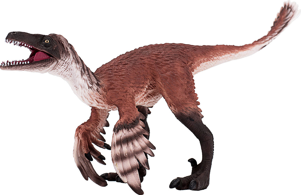 Troodon with Articulated Jaw