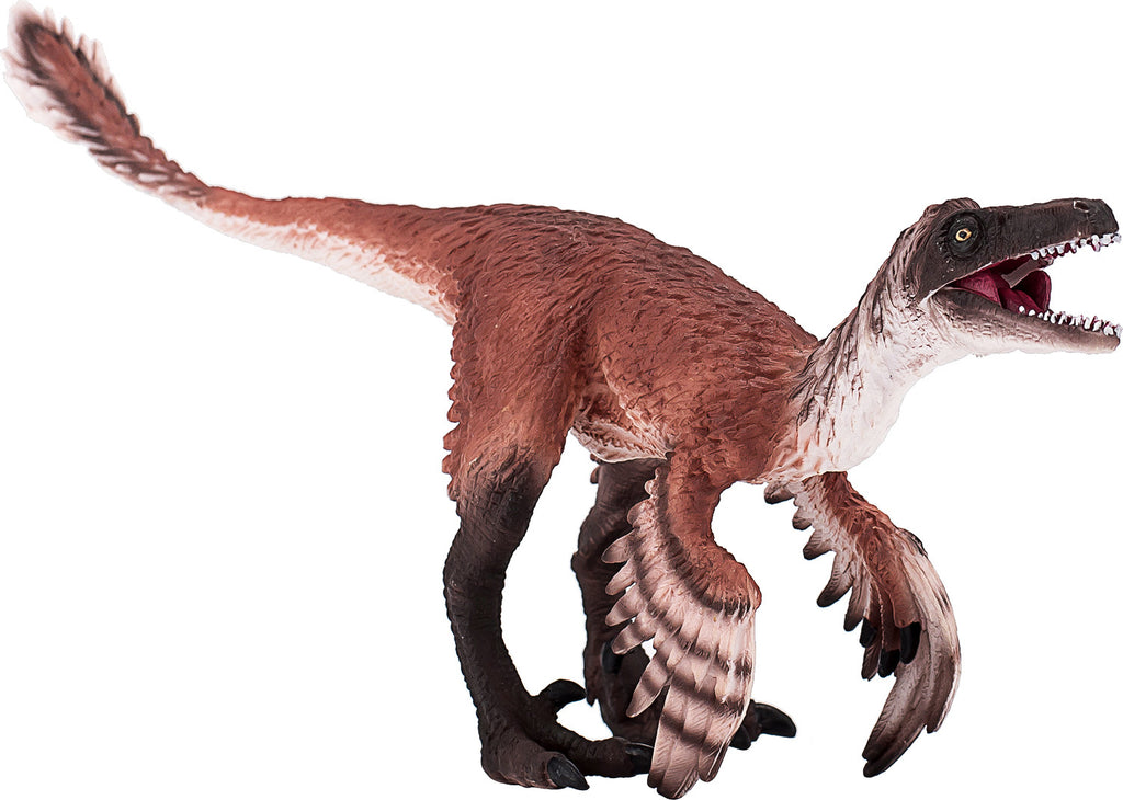 Troodon with Articulated Jaw