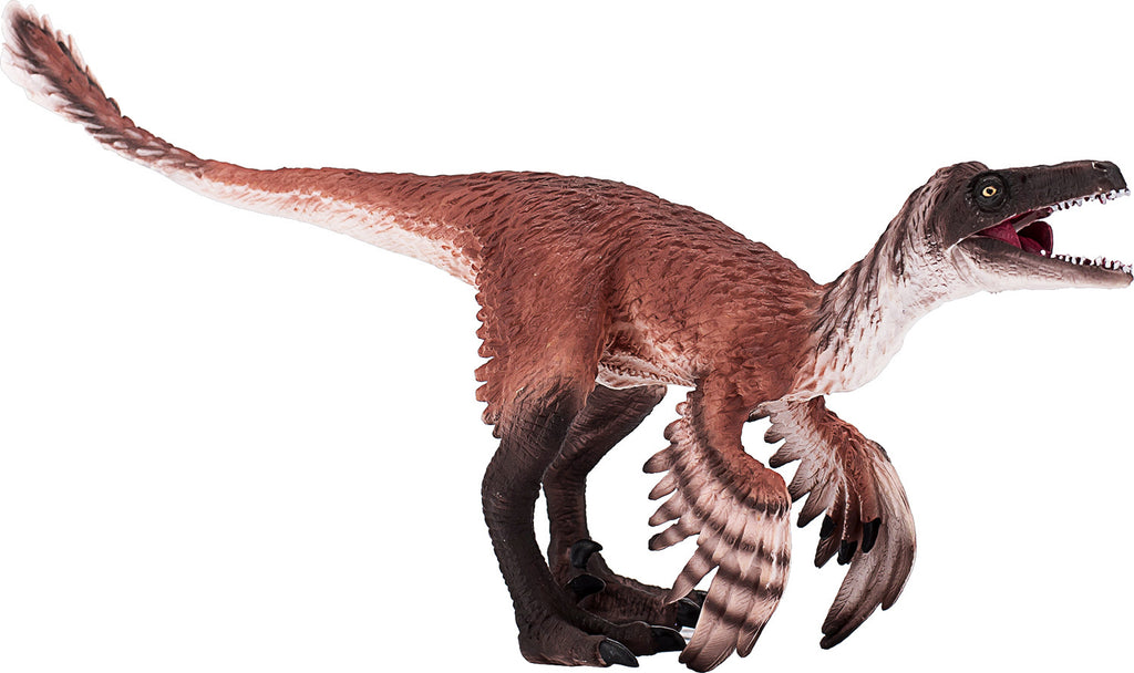 Troodon with Articulated Jaw