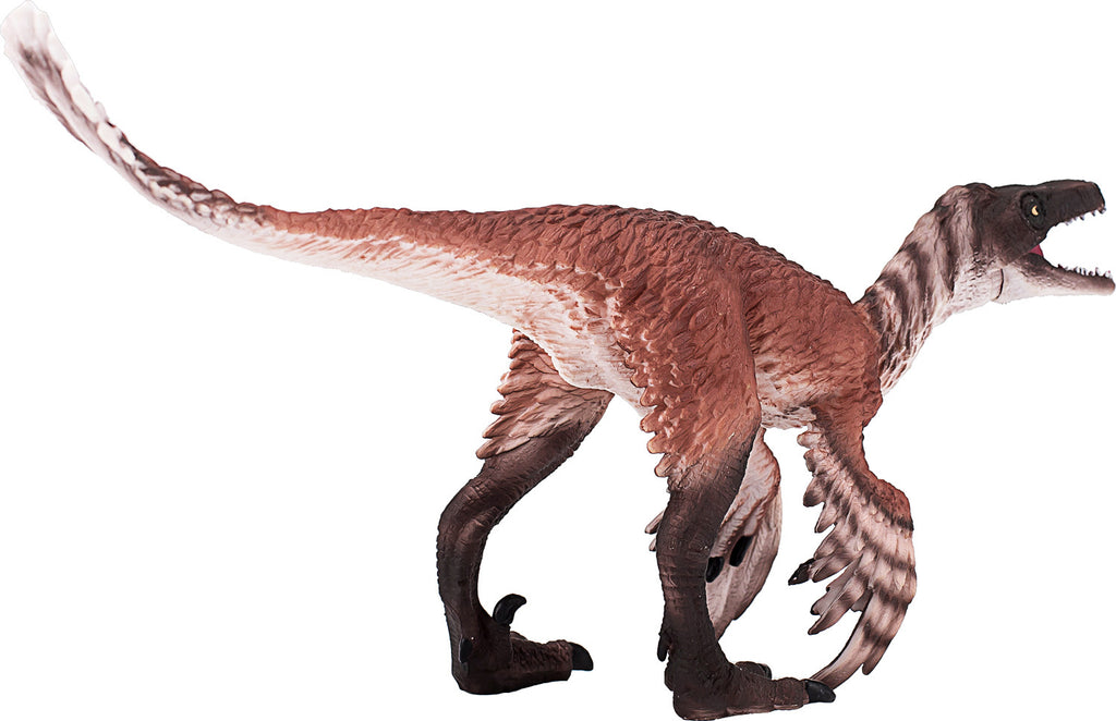 Troodon with Articulated Jaw