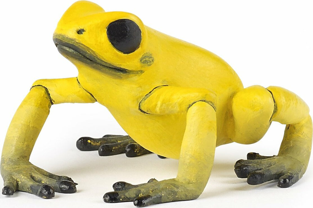 Equatorial Yellow Frog