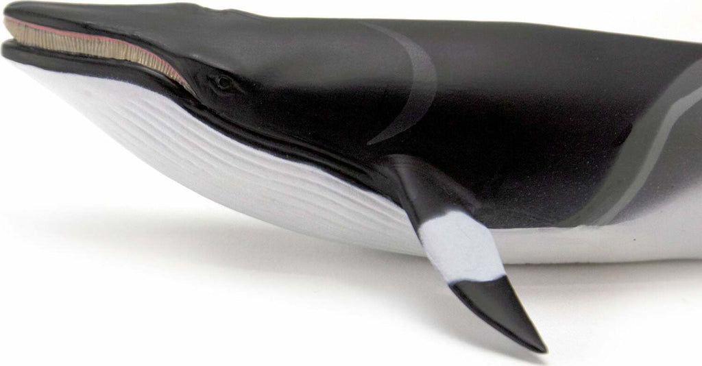 Minke Whale Sea Life Toy Figure