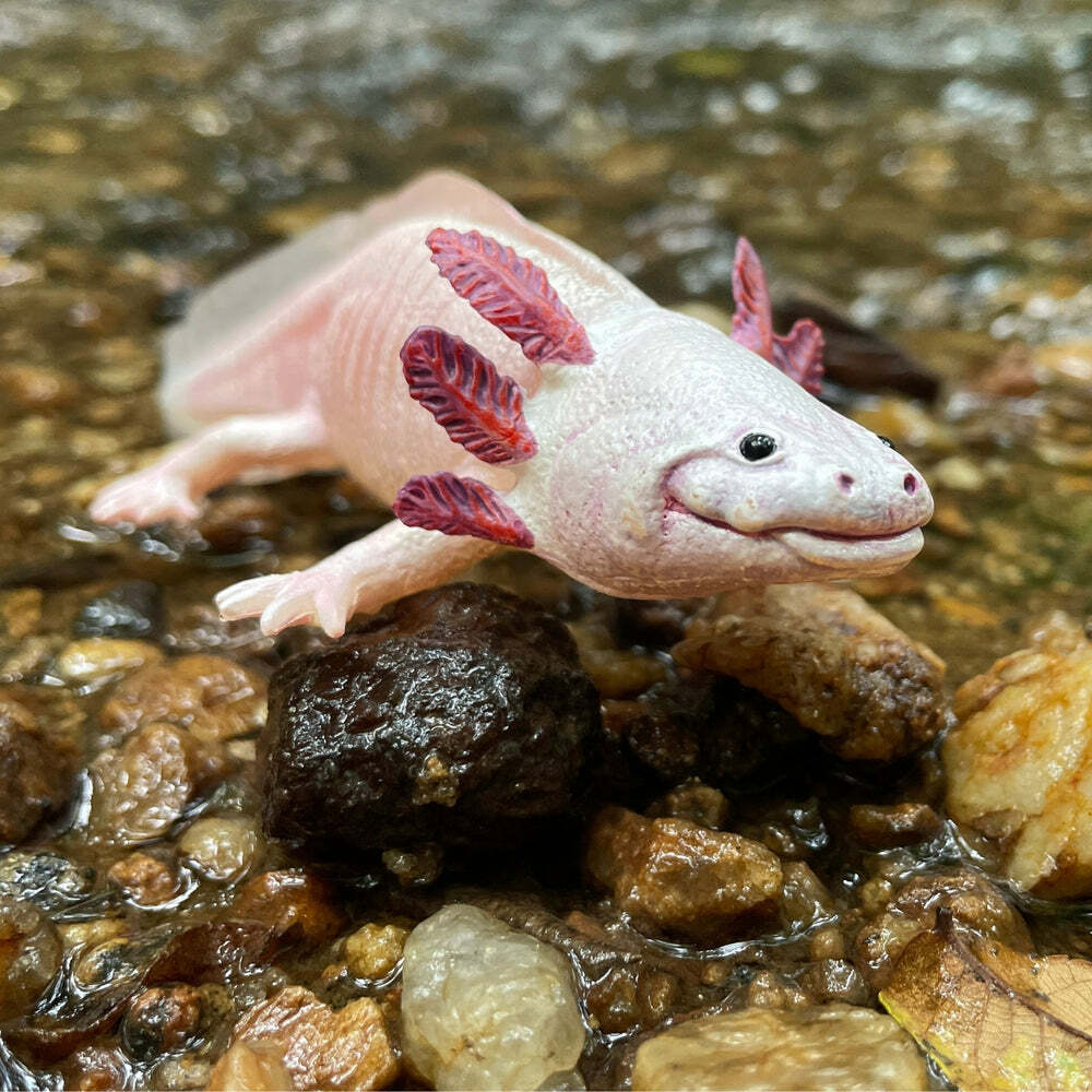 Axolotl Toy Figure