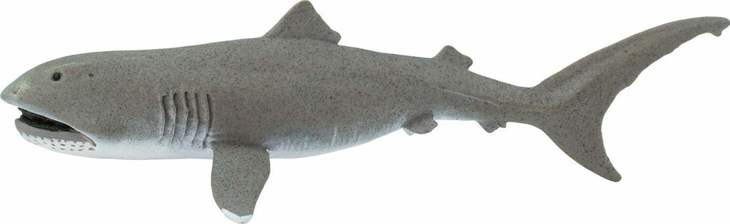 Megamouth Shark