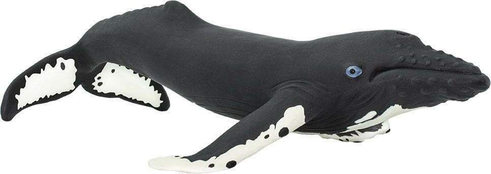 Humpback Whale Toy