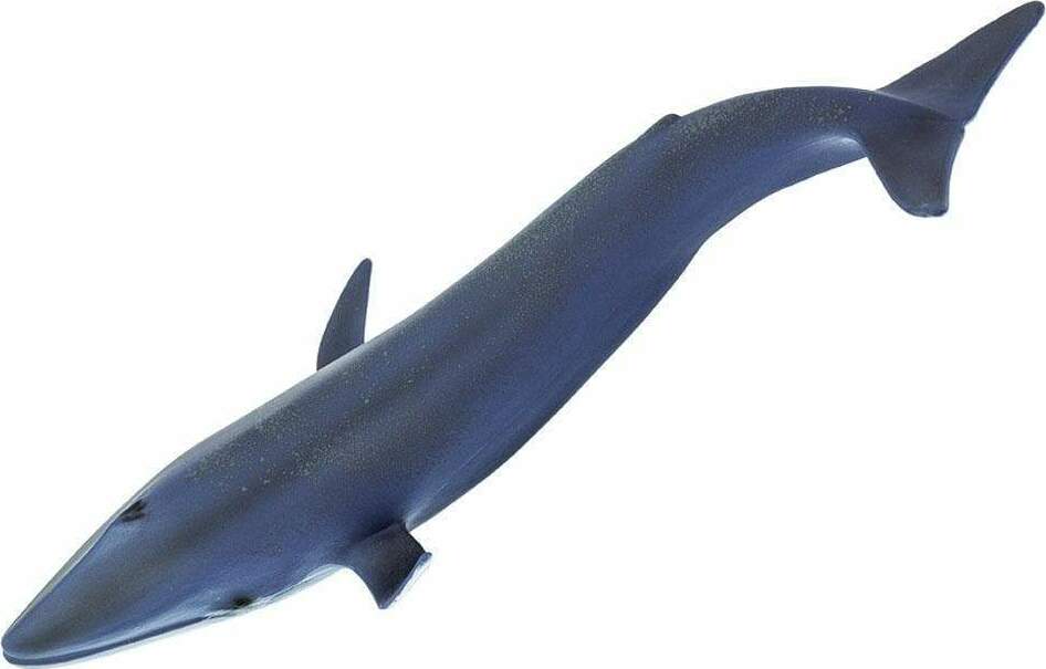 Blue Whale Toy