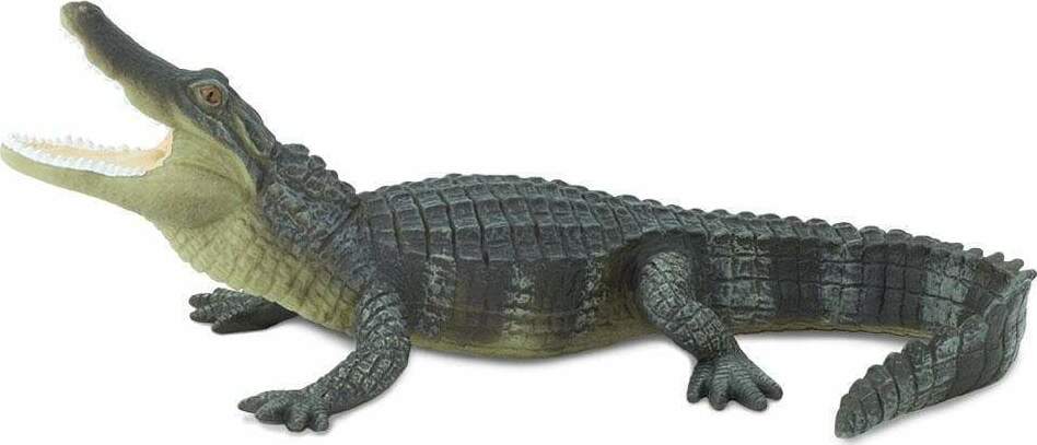 Alligator Toy