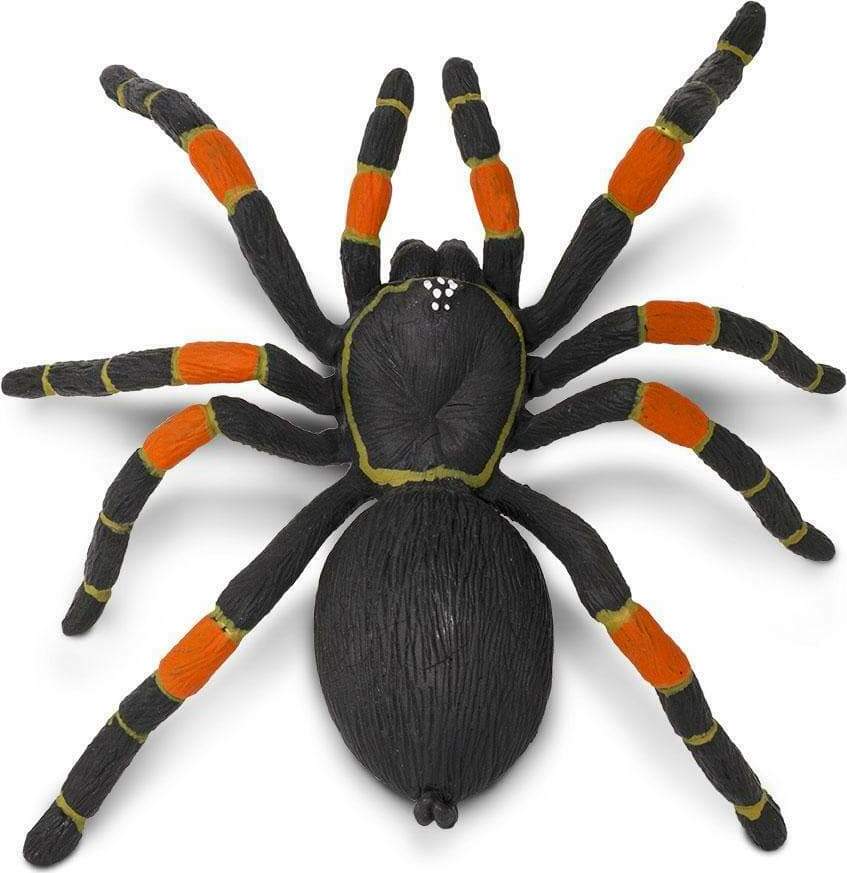 Orange-kneed Tarantula Toy