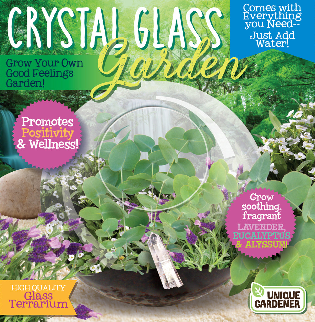 Crystal Glass Garden