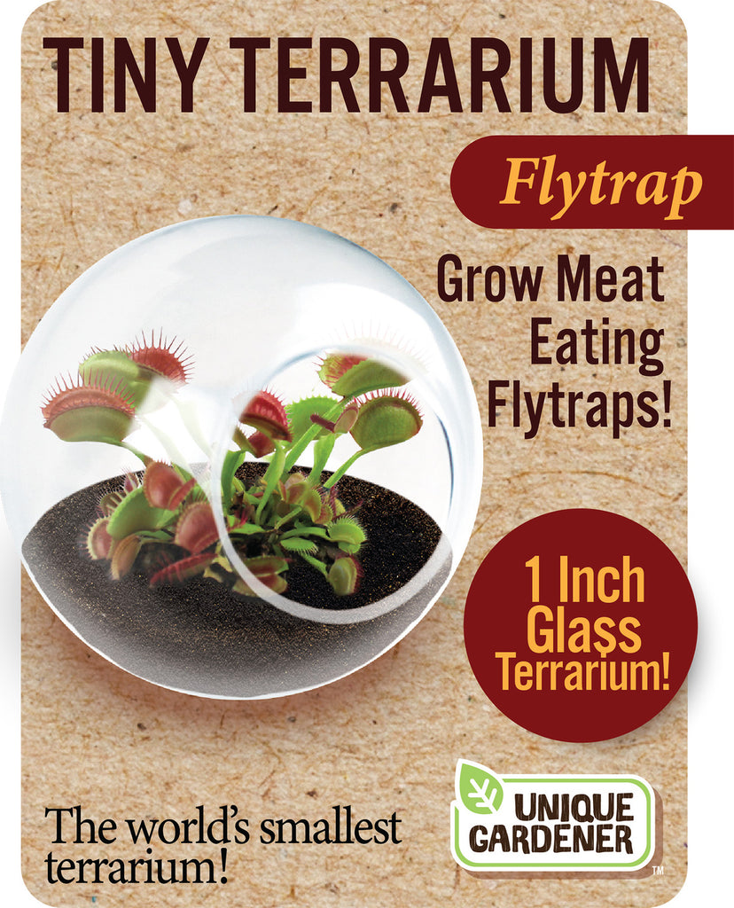 Tiny Terrariums - Flytraps